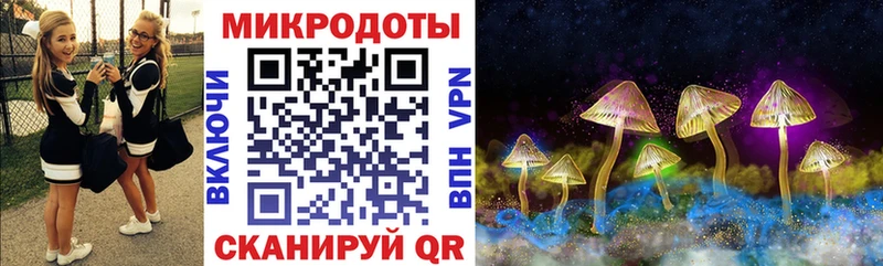 Псилоцибиновые грибы Magic Shrooms  кракен как войти  Тайга 