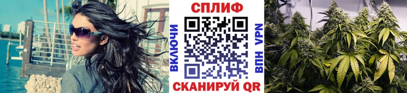 как найти   Тайга  Шишки марихуана марихуана 